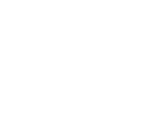 LIGA 1 MAX